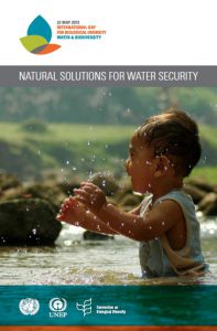 IDB Natural Solutions for Water Security booklet