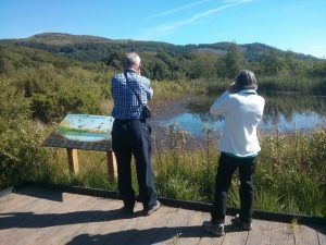 Cors Dyfi pond species panel