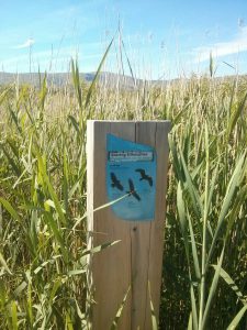 Cors Dyfi bird totem panel