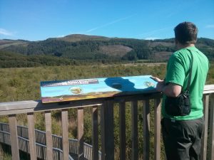 Cors Dyfi 360 Observatory