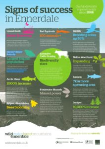 Wild Ennerdale infographic