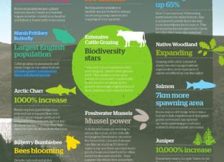 Wild Ennerdale infographic