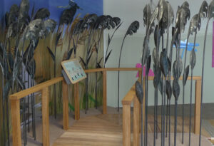 Tralee Bay sculptural reedbed