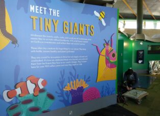 ZSL London Zoo Tiny Giants exhibition install