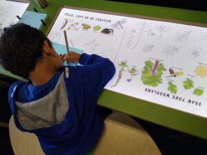 Ruislip Woodland Centre tracing table exhibit