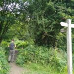 Ruislip Woods - Copse Wood