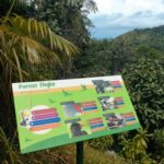 Seychelles Vallee de Mai forest trail panel