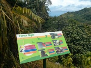 Seychelles Vallee de Mai forest trail panel